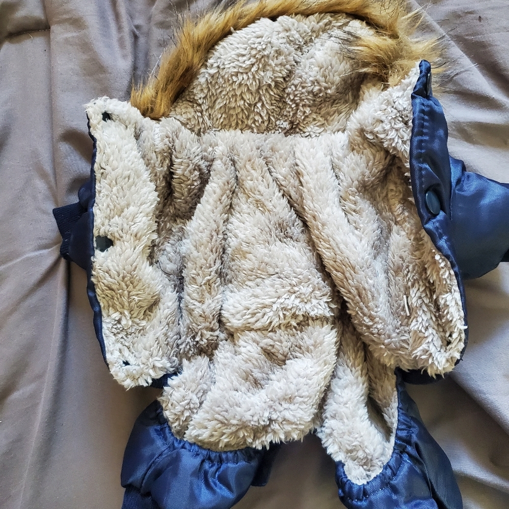 Small dog coat - Picture 3 of 5